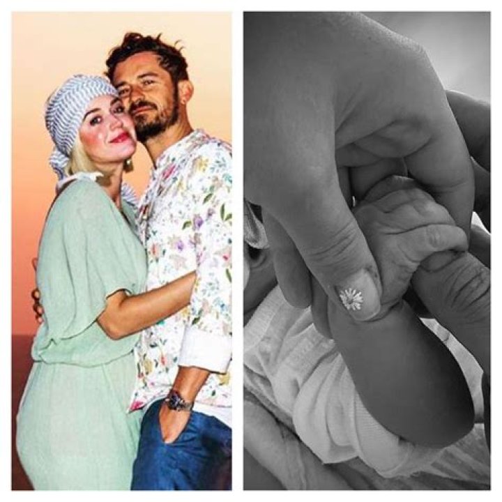 Unveiling The Birth Of Daisy Dove Bloom: Uncovering Secrets And Impact