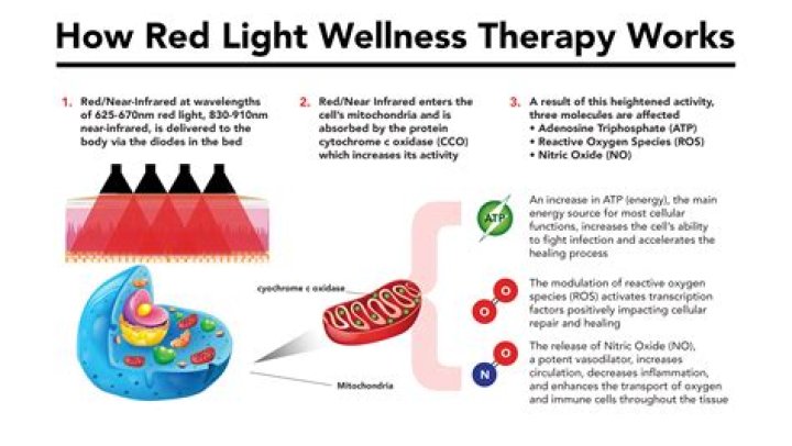Unveiling The Secrets Of Red Light Therapy: Planet Fitness Reviews